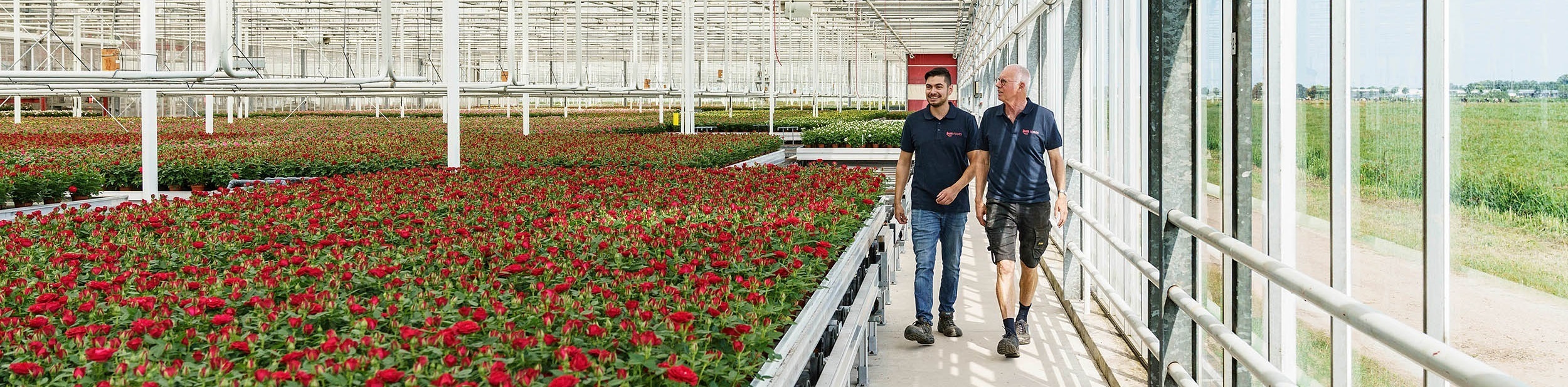 Roses Smile, vader en zoon