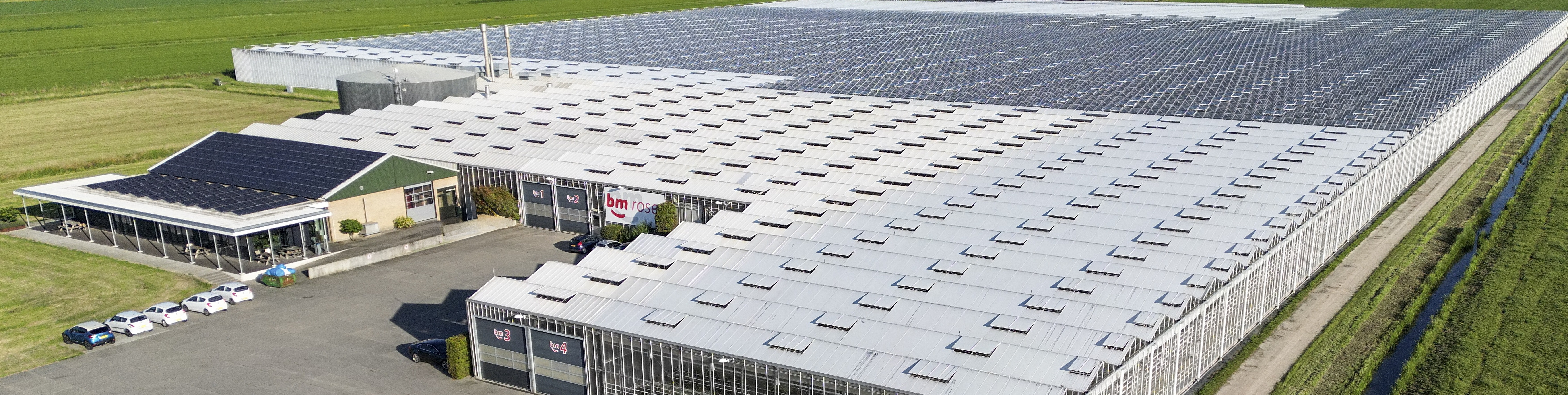 Roses Header Contact